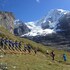 wengen