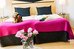 clarion hotel orebro