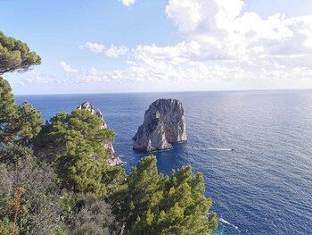 suite saint michael