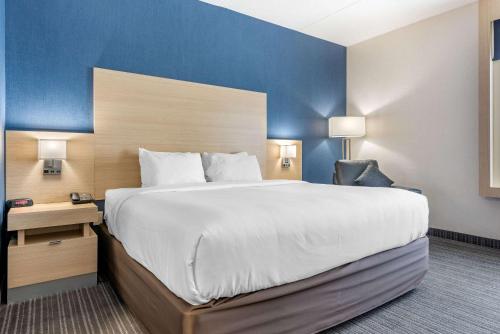 quality inn and suites