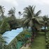 goa