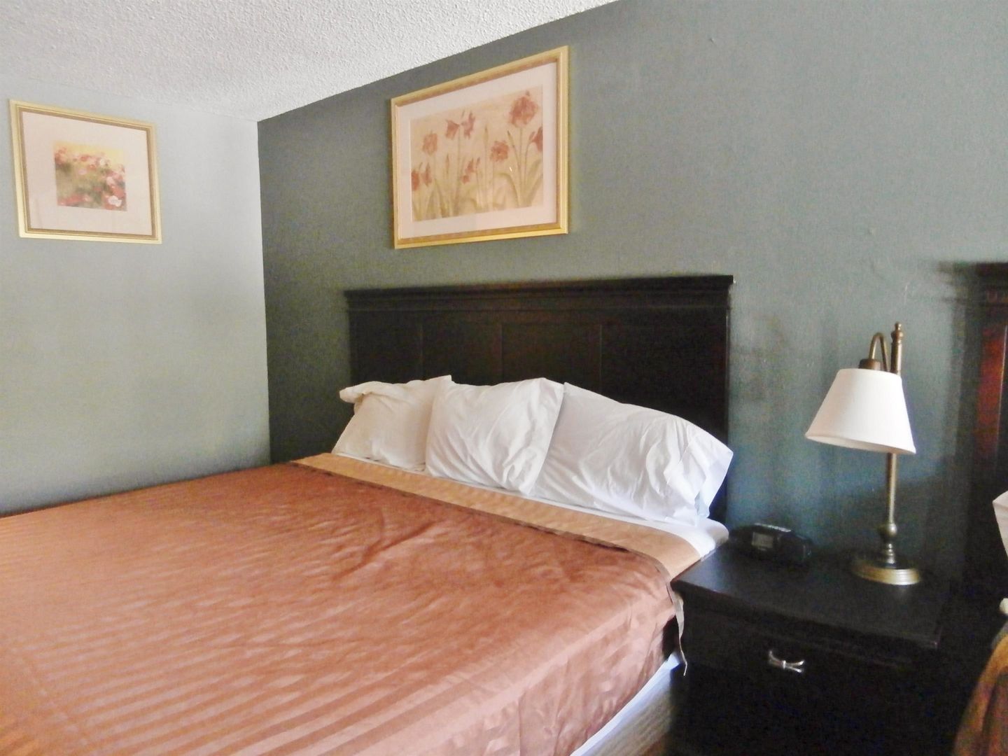 americas best value inn athens ga