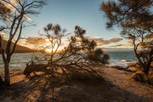 freycinet lodge