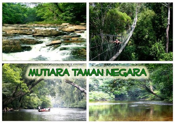 mutiara taman negara