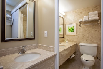 holiday inn toronto intl airport by ihg