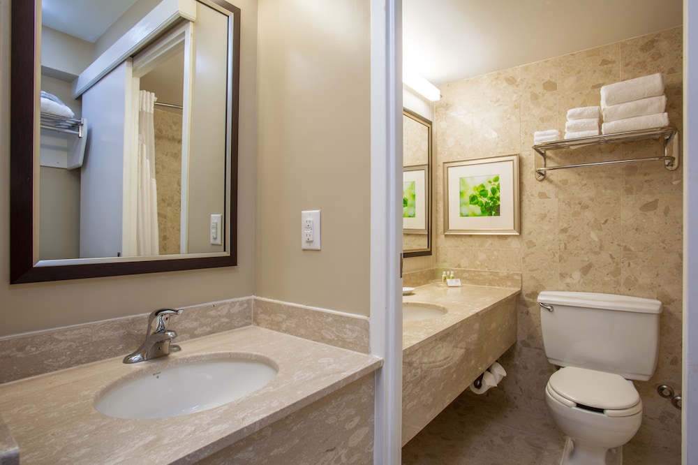 holiday inn toronto intl airport by ihg