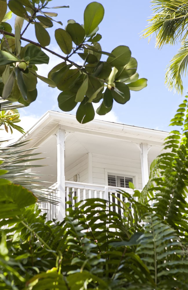 paradise inn key west adults only