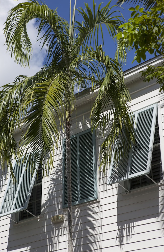 paradise inn key west adults only