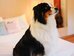 ibis aix en provence hotel