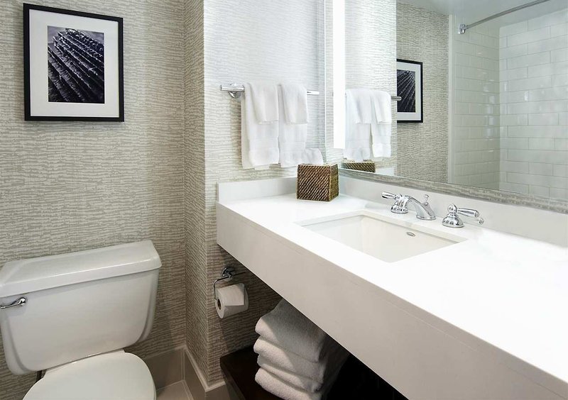 drury plaza hotel st paul downtown