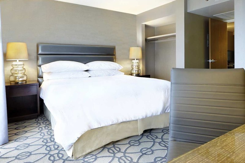 drury plaza hotel st paul downtown