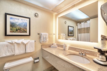 edgewater hotel gatlinburg