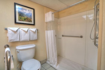 edgewater hotel gatlinburg