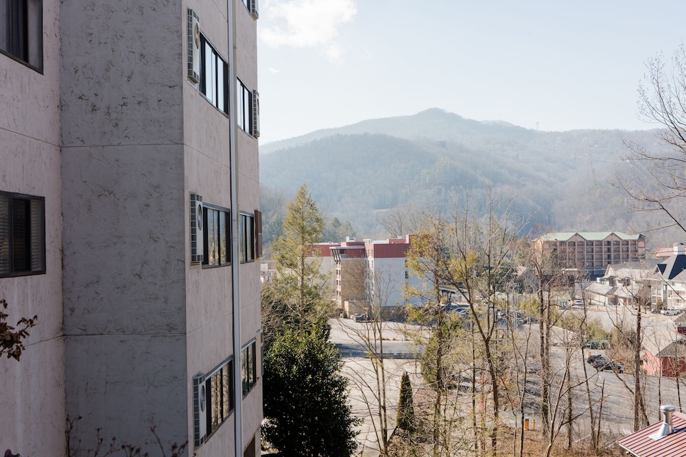 laurel inn condominium
