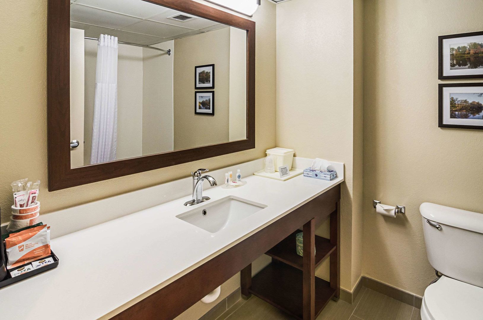 comfort inn and suites oxford south