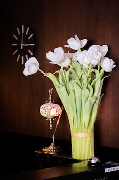 kirketon hotel sydney