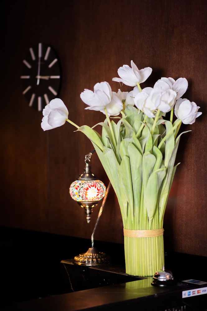 kirketon hotel sydney