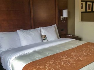 Comfort Suites Nw Dallas Near Love Field,Dallas>>Corpus Christi,3 star