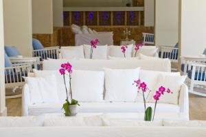 Sandy Beach Hotel & Spa - Ex Sentido,On The Beach,5 star