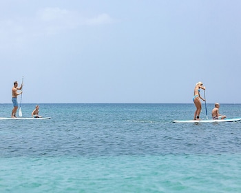 four seasons resort nevis