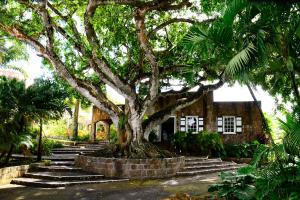 montpelier plantation and beach