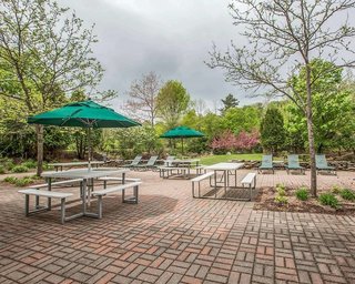 comfort inn and suites near burke mountain