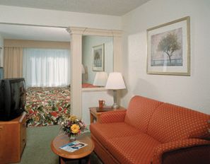 Springhill Suites By Marriott Convention Center/I-Drive,International Drive>>Florida,3 star