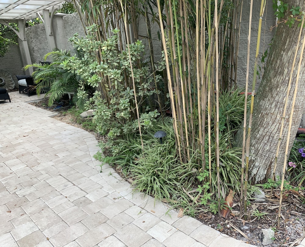 peace and plenty inn bed and breakfast downtown st augustine adults only