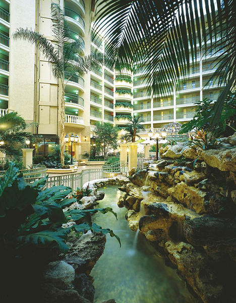 embassy suites by hilton orlando international dr conv ctr