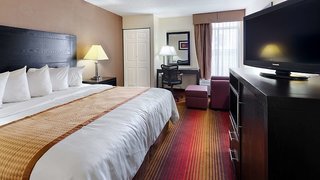 best western hampton coliseum inn