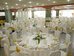 hotel sercotel cuatro postes