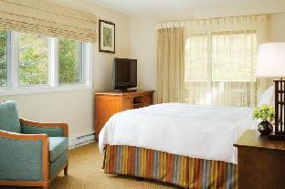 marriotts streamside birch at vail