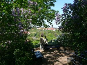 tryp by wyndham halle