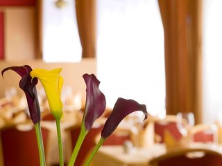 Muhlenhotel Halle Leipzig,Halle (Saale)>>Halle,4 star