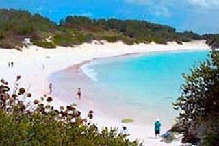Rosedon - Adults Only From Jan 2025,Hamilton>>Bermuda,4 star