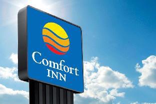 comfort inn and suites fultondale gardendale i 65