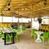 tgi insignia resort and villas