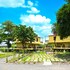 tgi insignia resort and villas