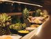 The Reef House Palm Cove,Near Palm Cove Beach,5 star