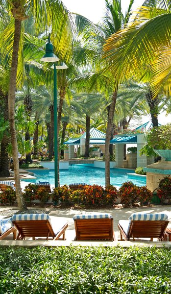 the westin grand cayman seven mile beach resort and spa