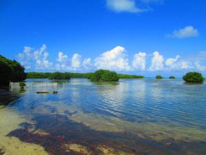 decameron marazul all inclusive