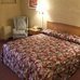 red carpet inn north syracuse