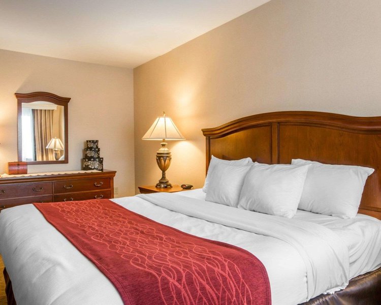 comfort inn and suites east greenbush albany