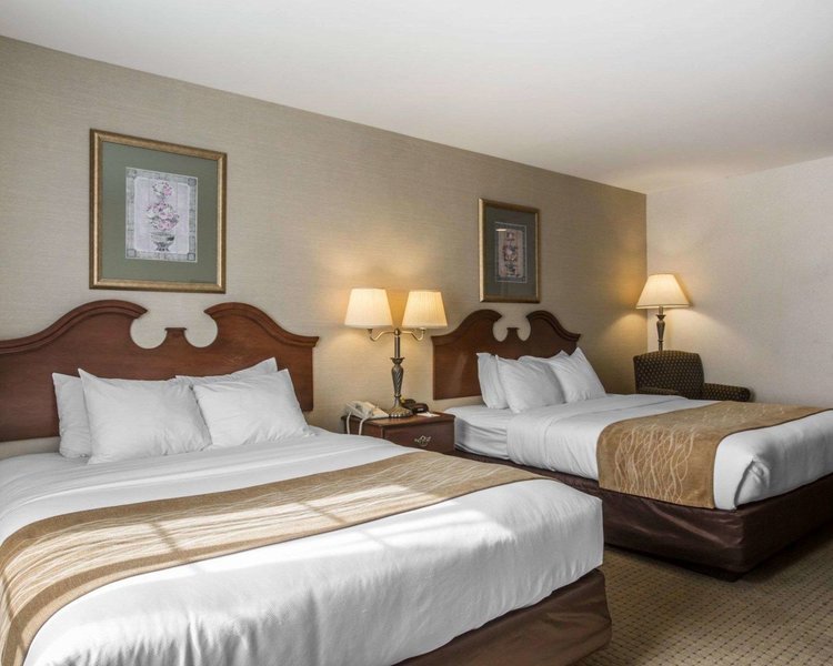 comfort inn and suites east greenbush albany