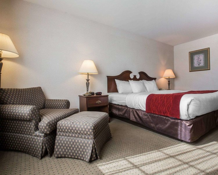 comfort inn and suites east greenbush albany