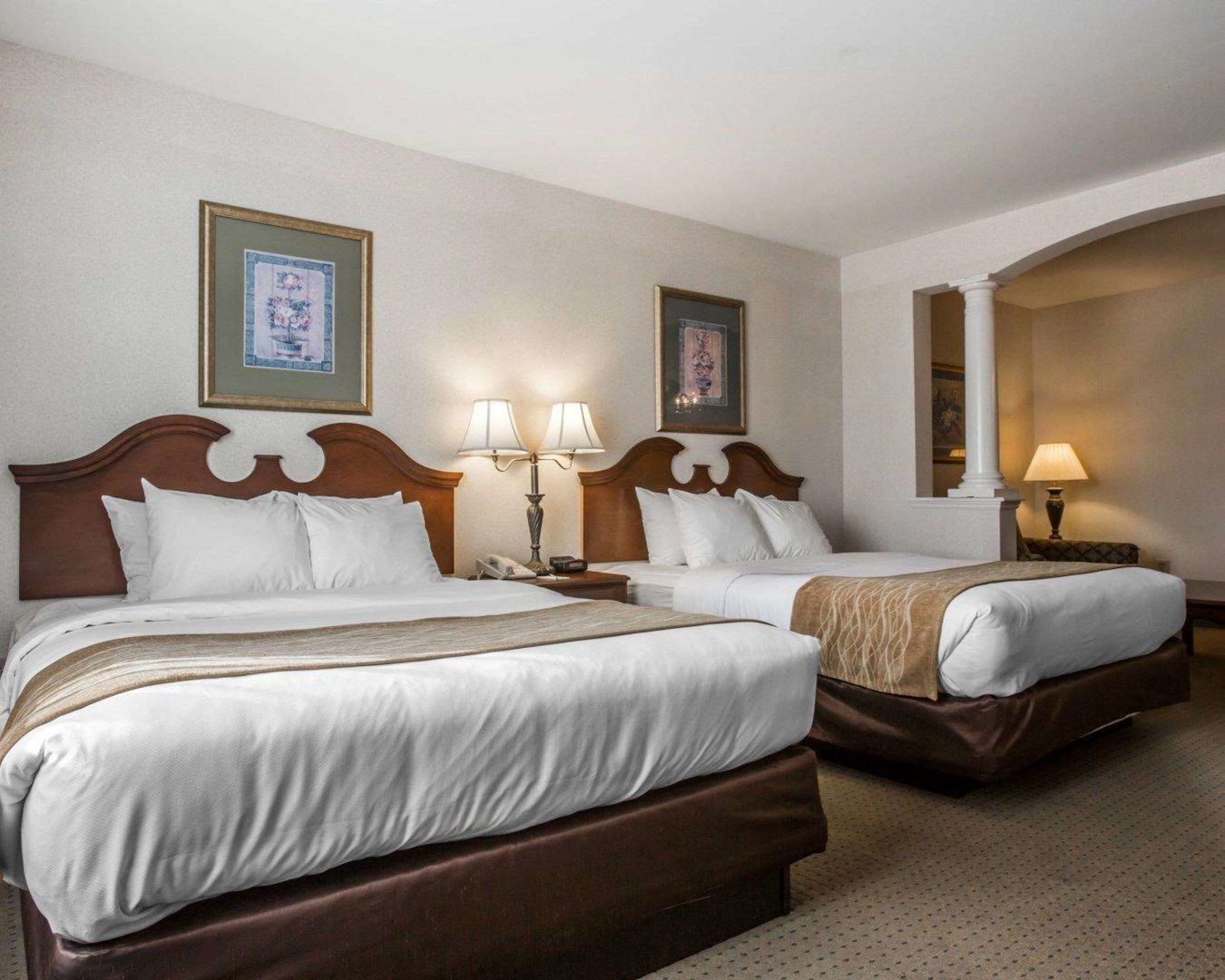 comfort inn and suites east greenbush albany