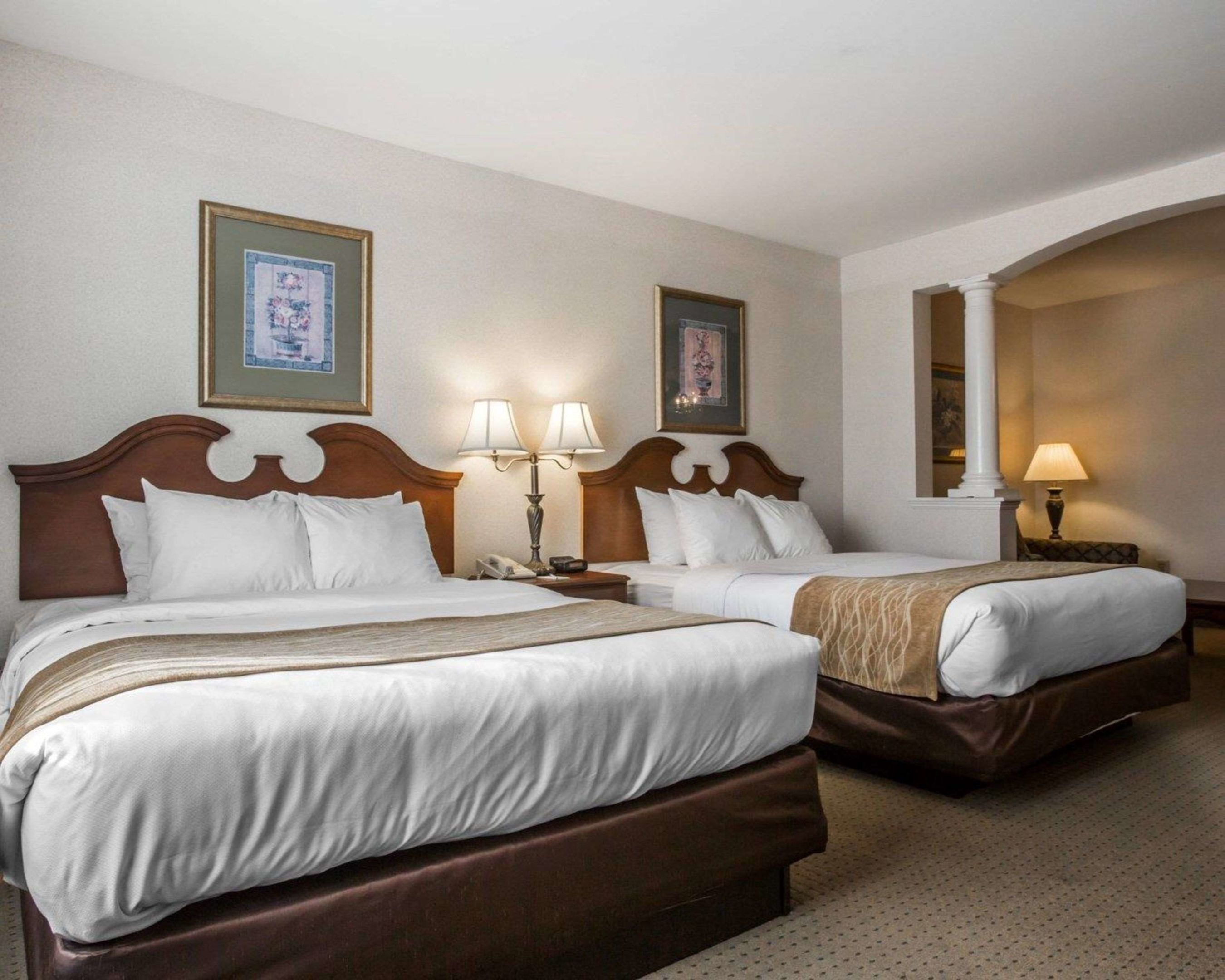 comfort inn and suites east greenbush albany