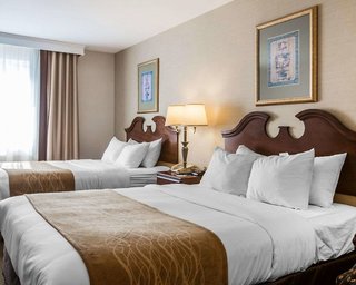 comfort inn and suites east greenbush albany