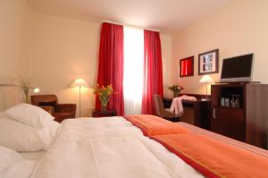 freiburg im breisgau