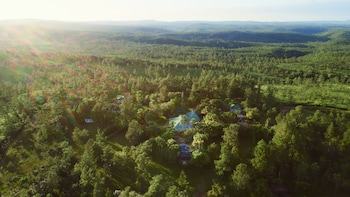 mountain pine ridge